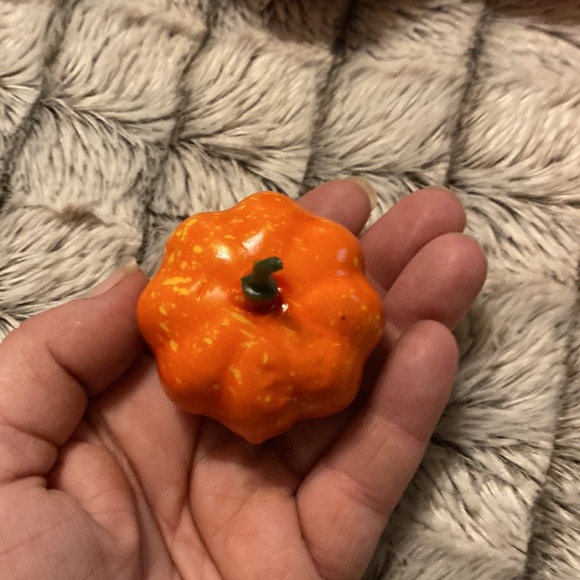 Assorted Fall Pumpkins - Picture 3 of 4